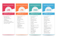 Salesforce CRM Cost: Factors, Pricing Plans, and Hidden Fees